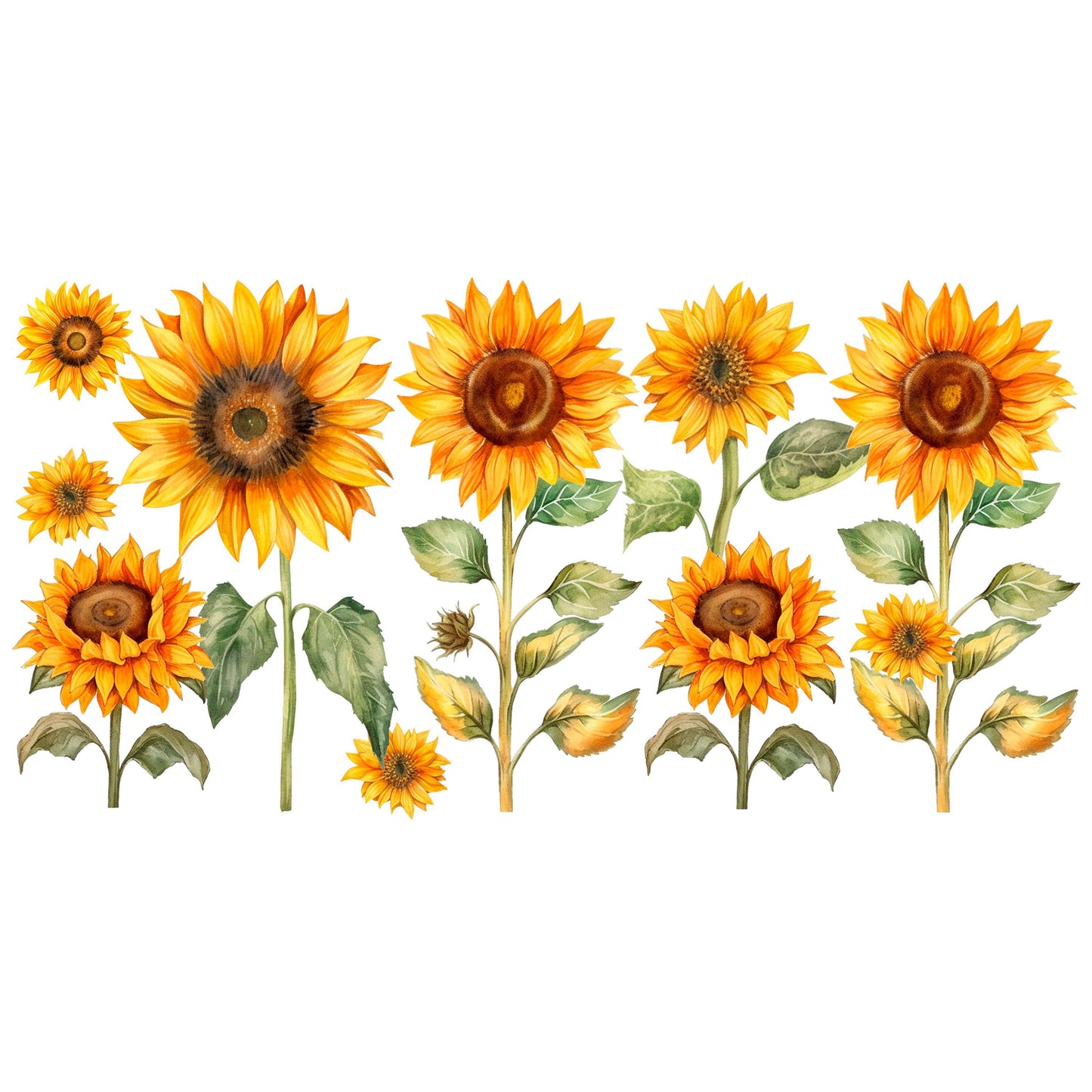 UV DTF Sticker print. Sunflower glass can wrap decal, tumbler decal. UV wrap for glass can tumbler. #5179