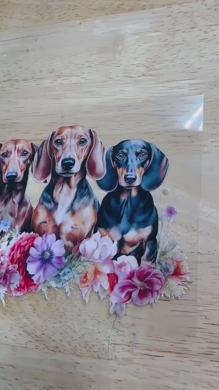 UV DTF Sticker print. Cute trio of Dachshunds with flowers decal, tumbler decal, permanent sticker. UV wrap for glass can tumbler. #1017