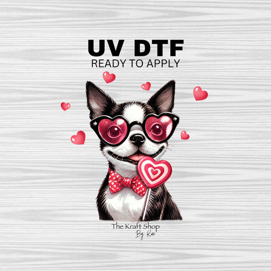 UV DTF Sticker print. Boston Terrier Vday Valentine's Day decal, tumbler decal, permanent sticker. #4356